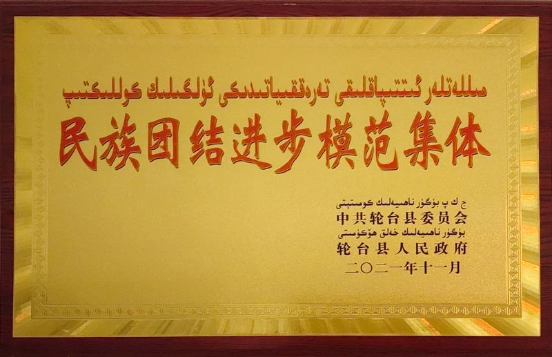 民族團結進步模范集體